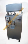 Pasteurisateur à crème glacée Mark