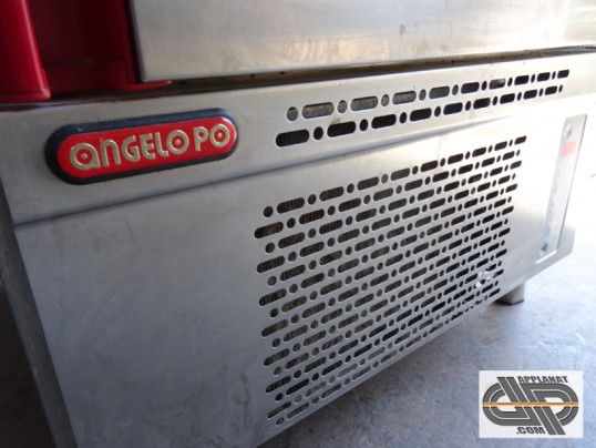 cellule angelo po - SM1L